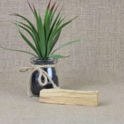 Palo Santo Smudge Stick