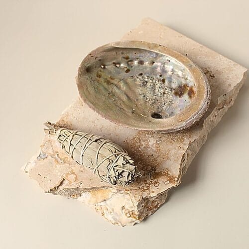 Cleansing Kit with Shell