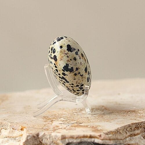 Dalmation Jasper Crystal Heart Dalmation Jasper Crystal Heart