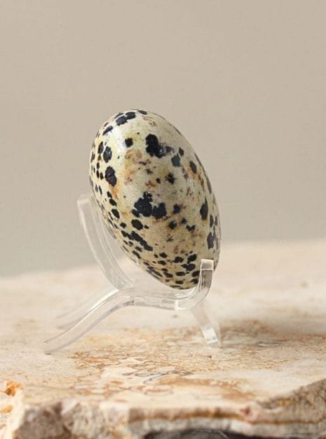 Dalmation Jasper Crystal Heart Dalmation Jasper Crystal Heart